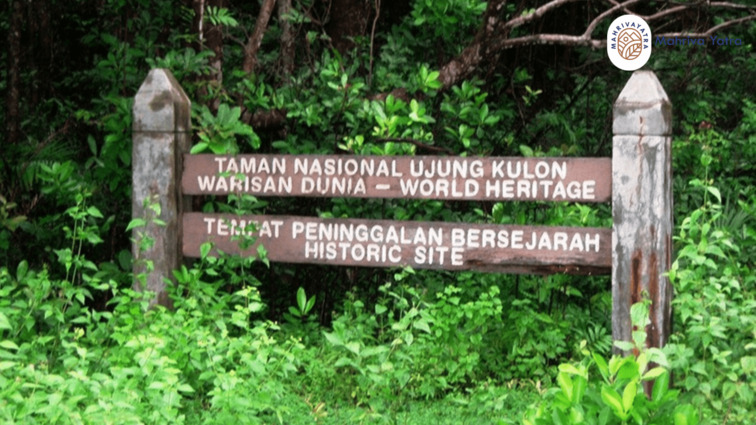 Taman-Nasional-Ujung-Kulon