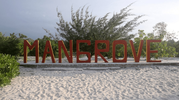 Ekowisata Mangrove Kampung Nipah Sumatera Utara