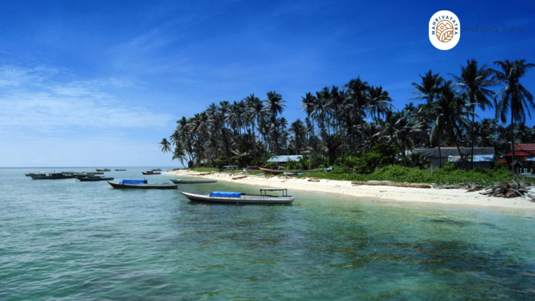 Ekowisata Bahari Kepulauan Derawan Kalimantan Timur